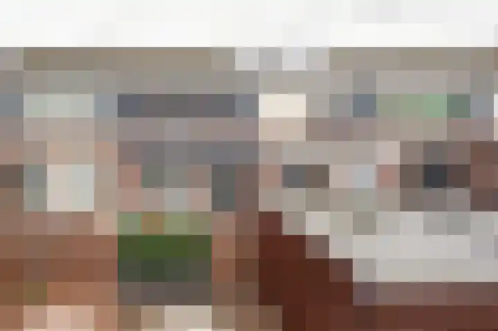 Hoornplantsoen 17 Berkel en Rodenrijs thumbnail 30