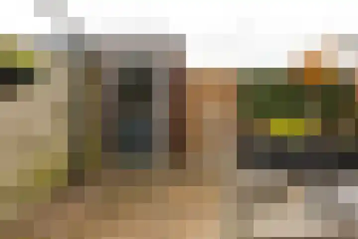 Hoornplantsoen 17 Berkel en Rodenrijs thumbnail 31