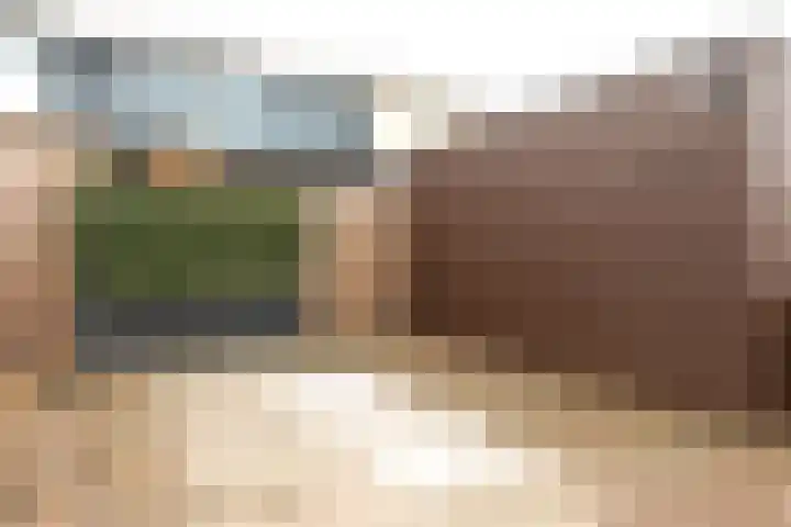 Hoornplantsoen 17 Berkel en Rodenrijs thumbnail 32