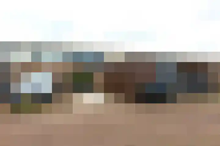 Hoornplantsoen 17 Berkel en Rodenrijs thumbnail 33