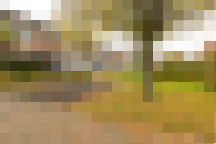 Hoornplantsoen 17 Berkel en Rodenrijs thumbnail 35