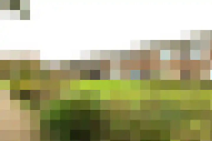 Hoornplantsoen 17 Berkel en Rodenrijs thumbnail 4