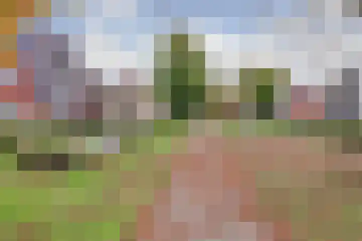 Hoornplantsoen 30 Amersfoort thumbnail 32