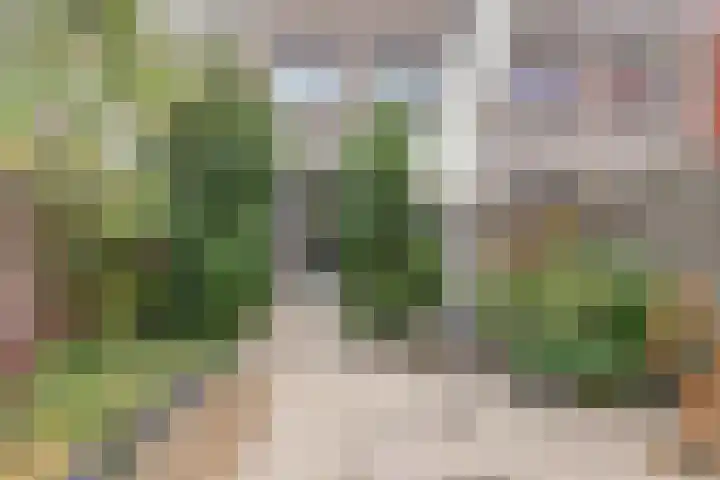 Hoornplantsoen 30 Amersfoort thumbnail 5