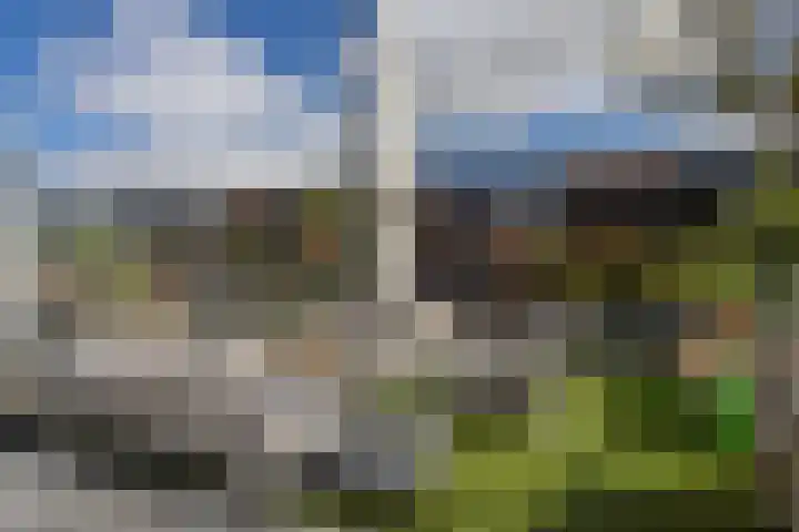 Hoornplantsoen 30 Berkel en Rodenrijs thumbnail 36