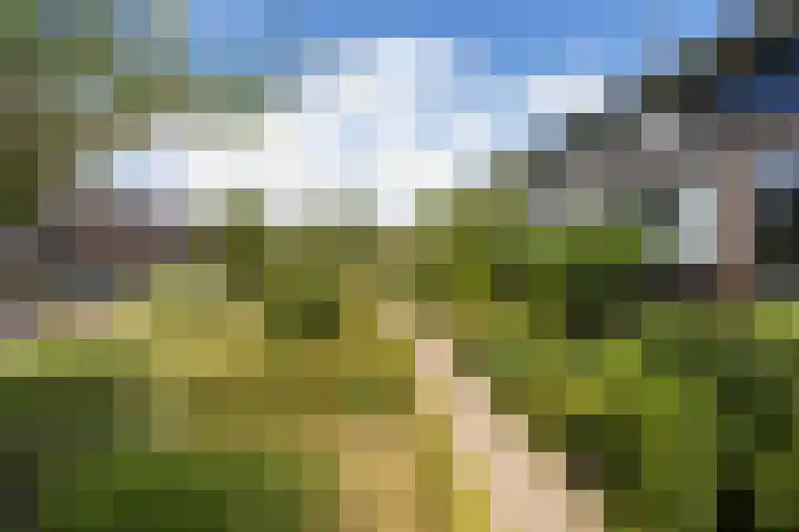 Hoornplantsoen 30 Berkel en Rodenrijs thumbnail 4