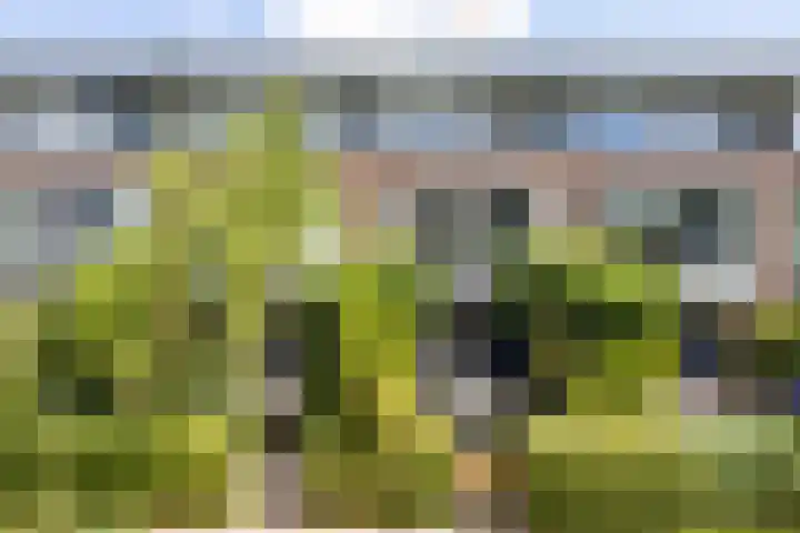 Hoornplantsoen 30 Berkel en Rodenrijs thumbnail 5