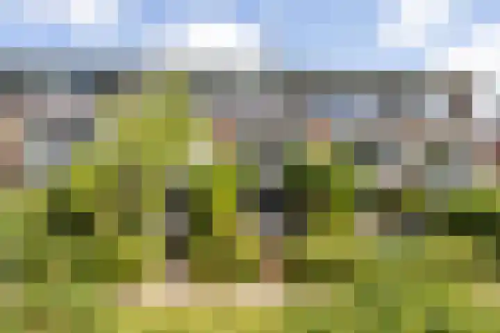Hoornplantsoen 30 Berkel en Rodenrijs thumbnail 52
