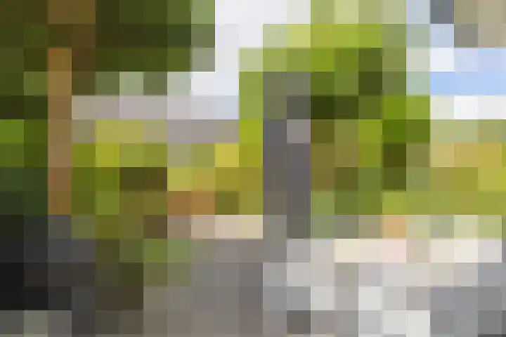 Hoornplantsoen 30 Berkel en Rodenrijs thumbnail 9