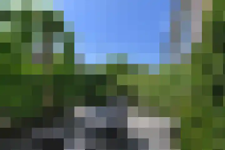 Hoornplantsoen 62 Berkel en Rodenrijs thumbnail 47