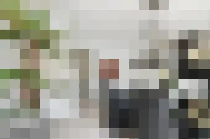 Hoornplantsoen 62 Berkel en Rodenrijs thumbnail 6