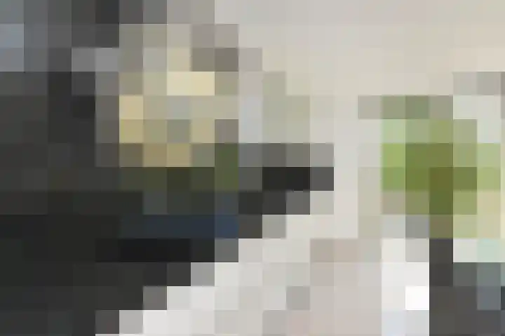 Hoornplantsoen 62 Berkel en Rodenrijs thumbnail 7