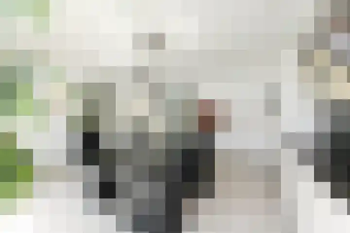 Hoornplantsoen 62 Berkel en Rodenrijs thumbnail 8