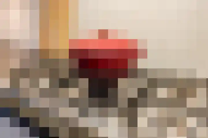 Hoornplantsoen 74 Berkel en Rodenrijs thumbnail 10