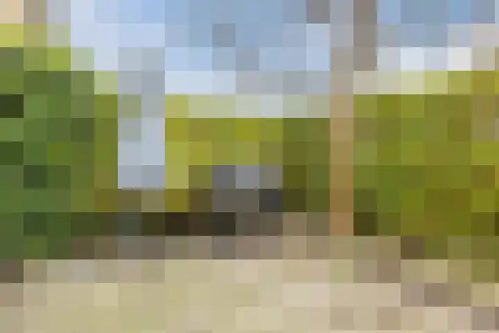 Hoornplantsoen 74 Berkel en Rodenrijs thumbnail 16