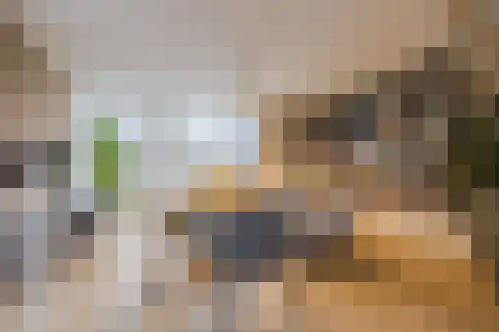 Hoornplantsoen 74 Berkel en Rodenrijs thumbnail 4