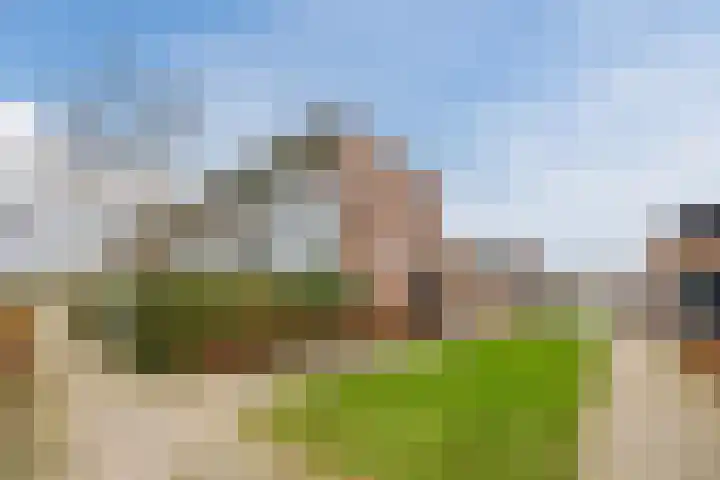 Hoornplantsoen 74 Berkel en Rodenrijs thumbnail 6