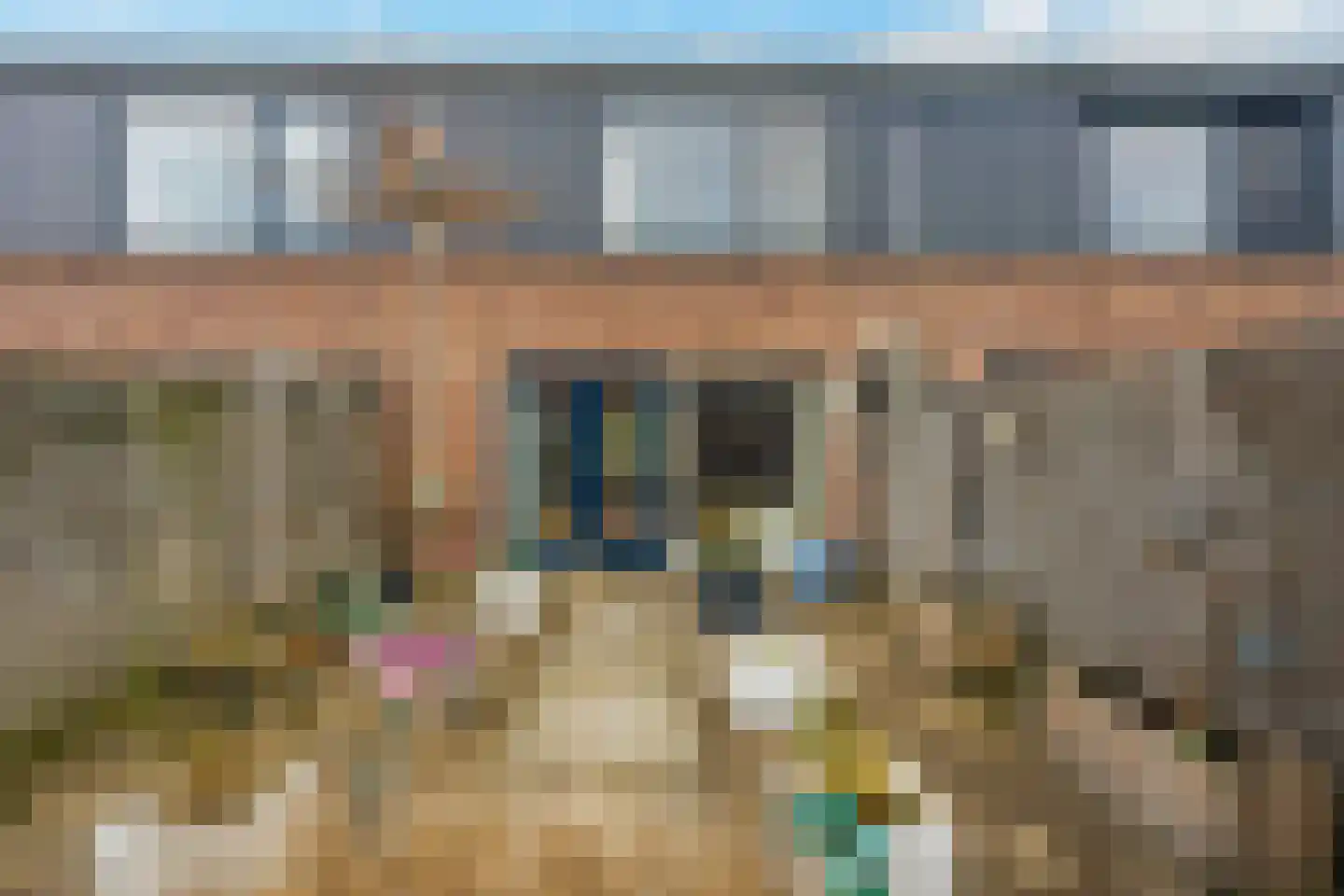 Hoornplantsoen 82 Berkel en Rodenrijs thumbnail 21