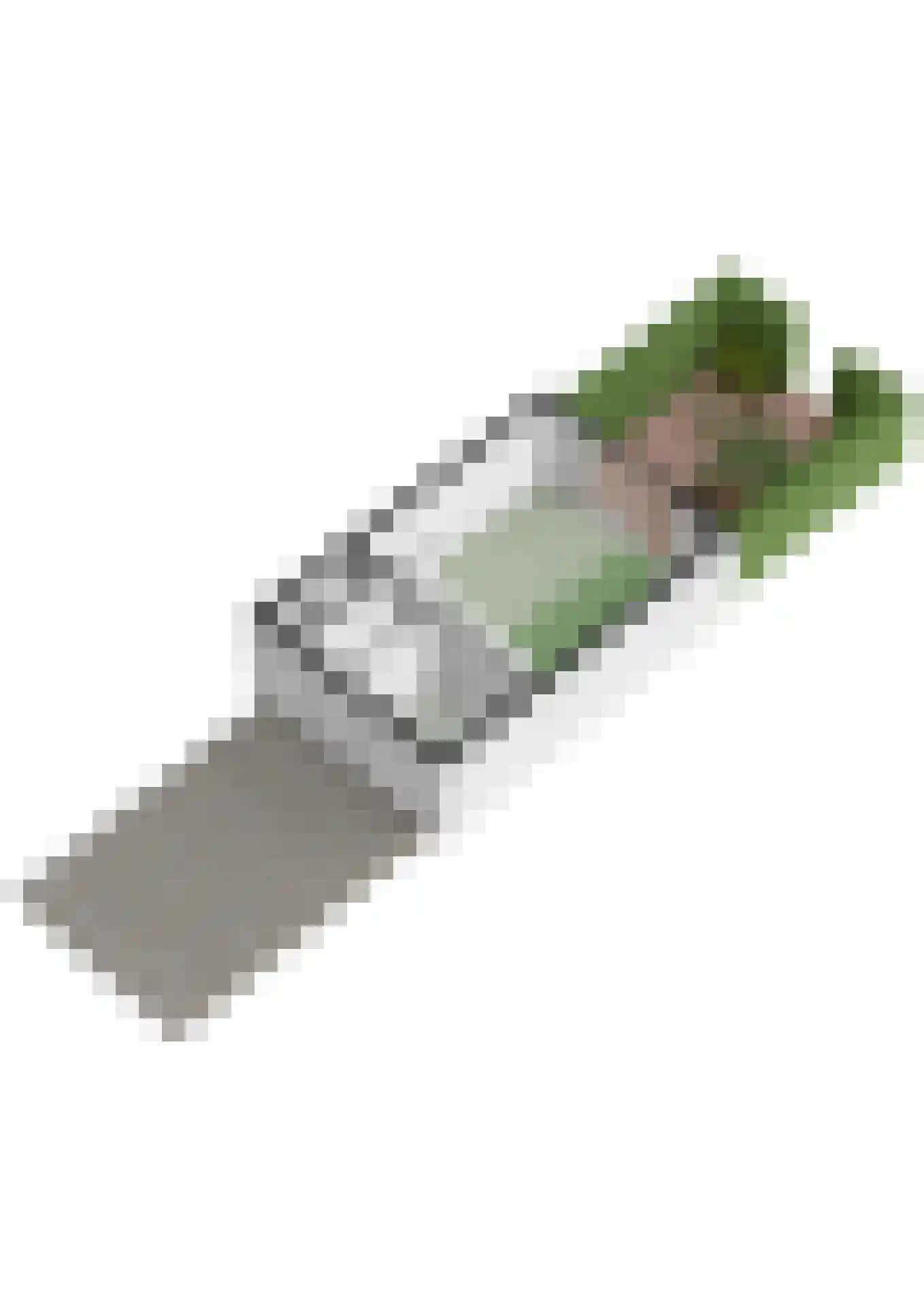Hoornplantsoen 82 Berkel en Rodenrijs thumbnail 47