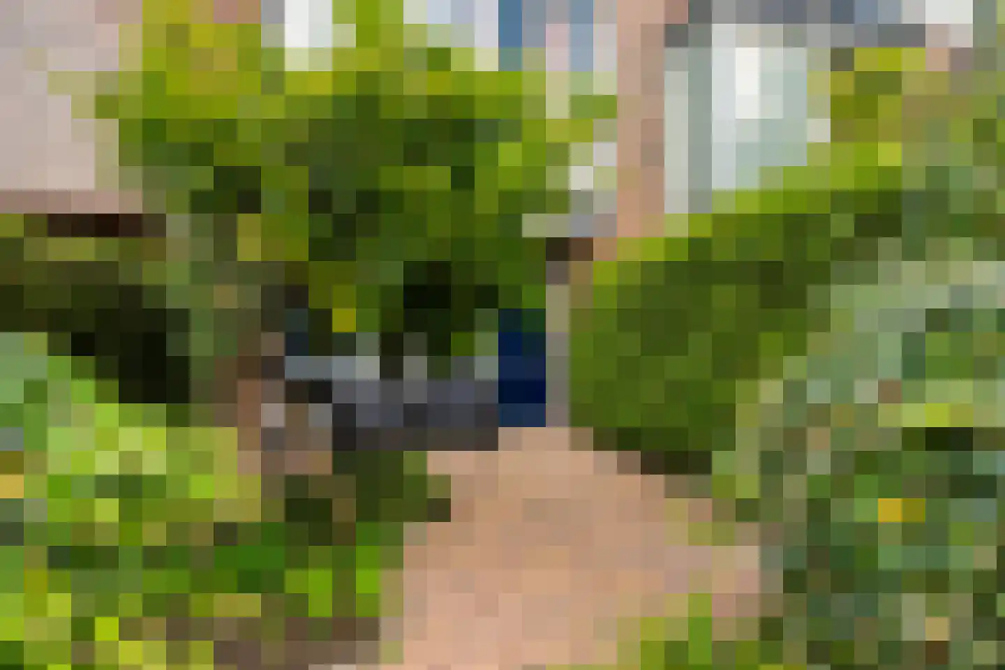 Hoornplantsoen 82 Berkel en Rodenrijs thumbnail 6