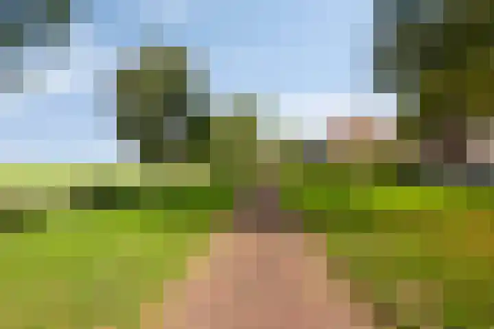 Hoornse Hop 14 Bunschoten-Spakenburg thumbnail 29