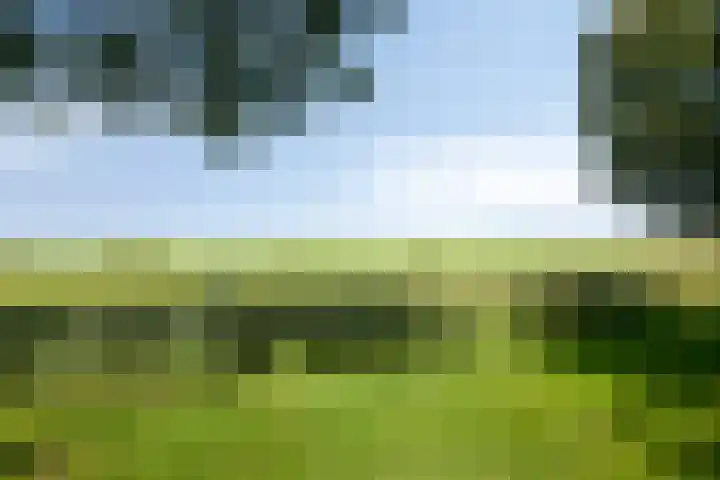 Hoornse Hop 14 Bunschoten-Spakenburg thumbnail 30