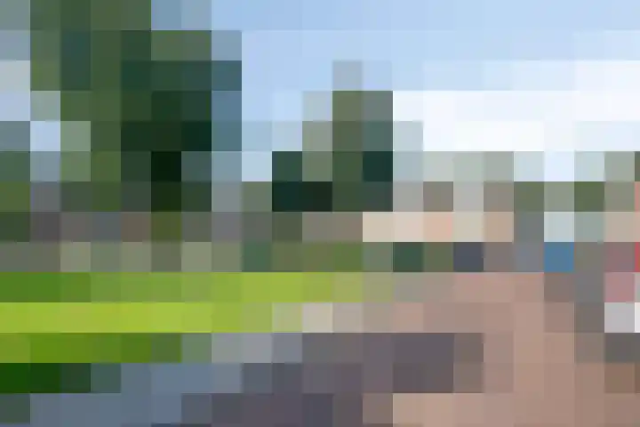 Hoornse Hop 14 Bunschoten-Spakenburg thumbnail 31