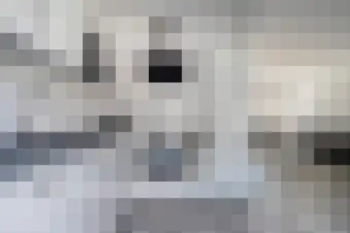 Hoornse Hop 14 Bunschoten-Spakenburg thumbnail 4