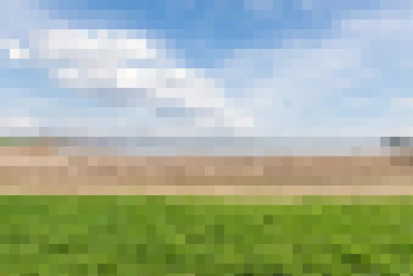 Hoornse Hop 2 Lelystad thumbnail 49
