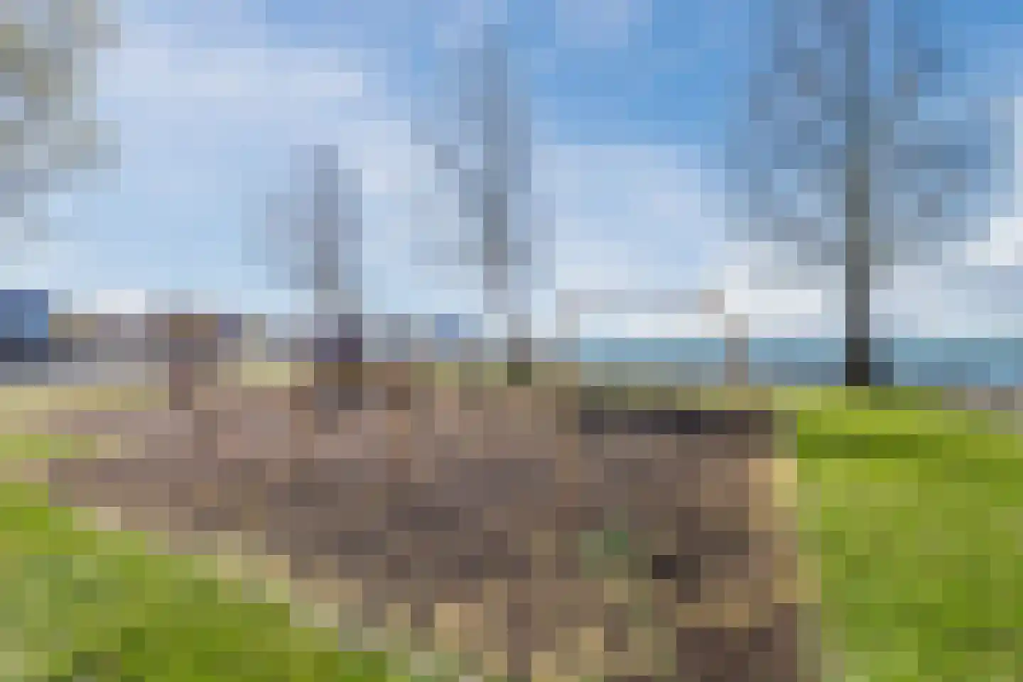 Hoornse Hop 2 Lelystad thumbnail 50