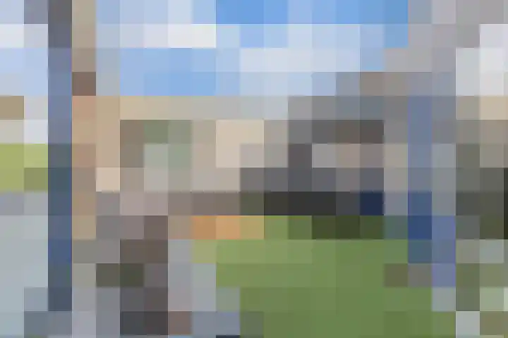 Hoornse Hop 38 Lelystad thumbnail 19
