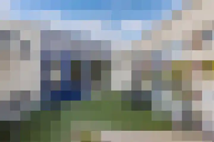 Hoornse Hop 38 Lelystad thumbnail 21