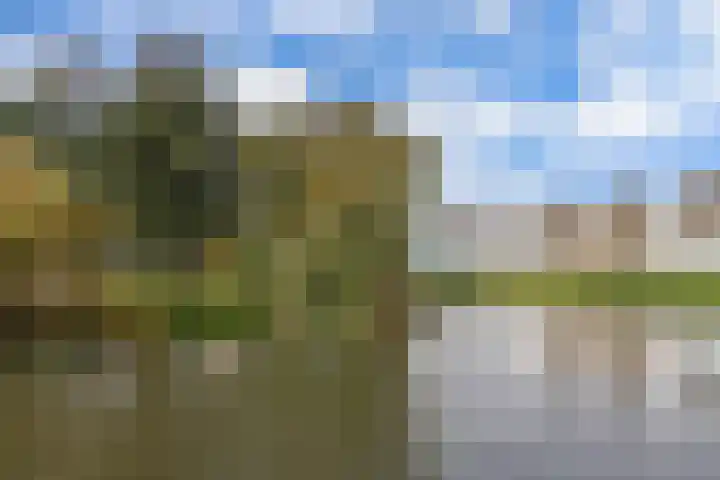 Hoornse Hop 38 Lelystad thumbnail 23