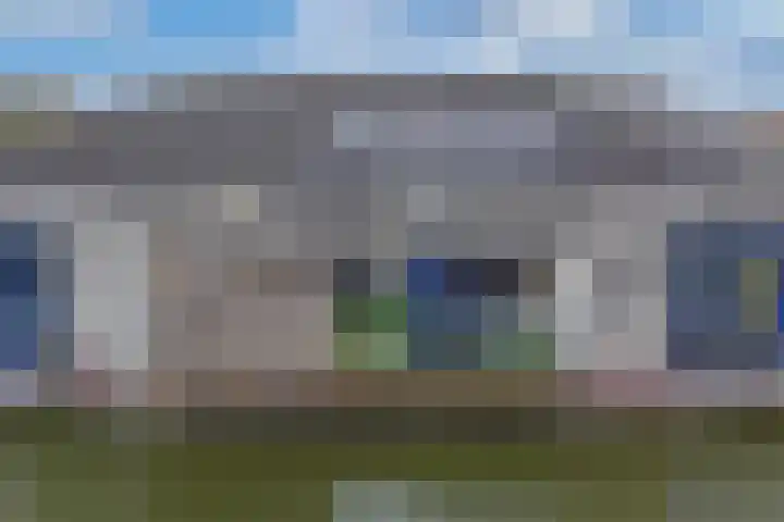 Hoornse Hop 38 Lelystad thumbnail 24