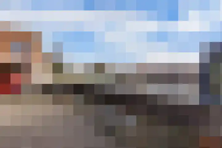 Hoornse Hop 38 Lelystad thumbnail 38