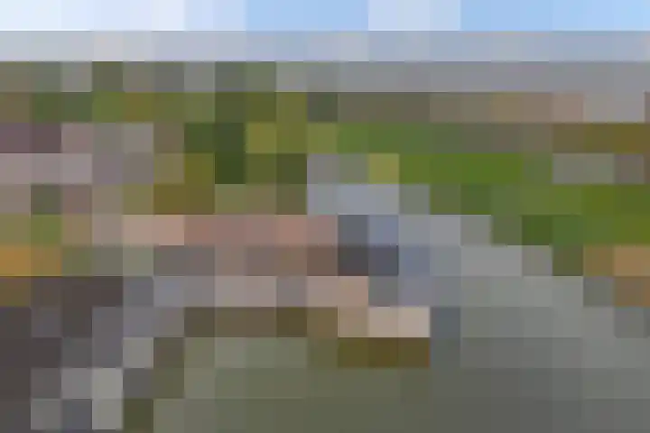 Hoornse Hop 38 Lelystad thumbnail 42