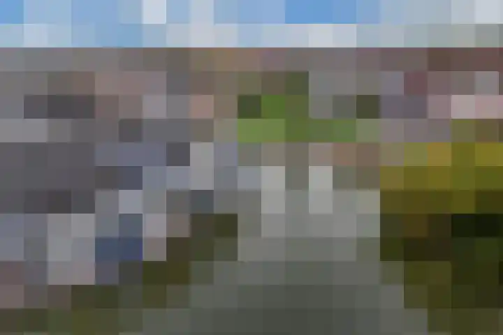 Hoornse Hop 38 Lelystad thumbnail 44
