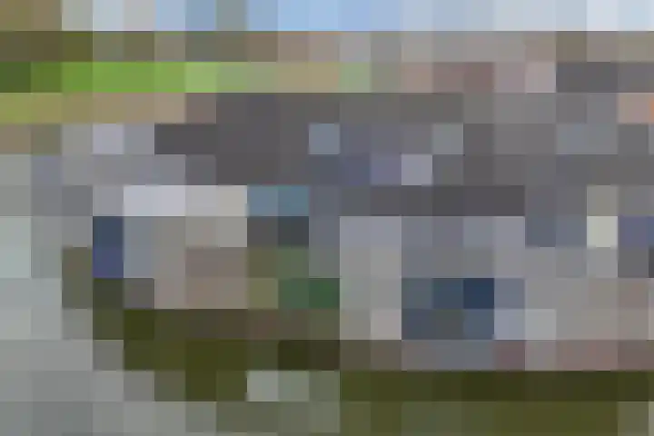 Hoornse Hop 38 Lelystad thumbnail 45