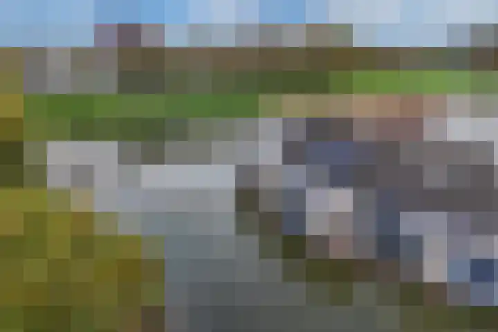 Hoornse Hop 38 Lelystad thumbnail 46