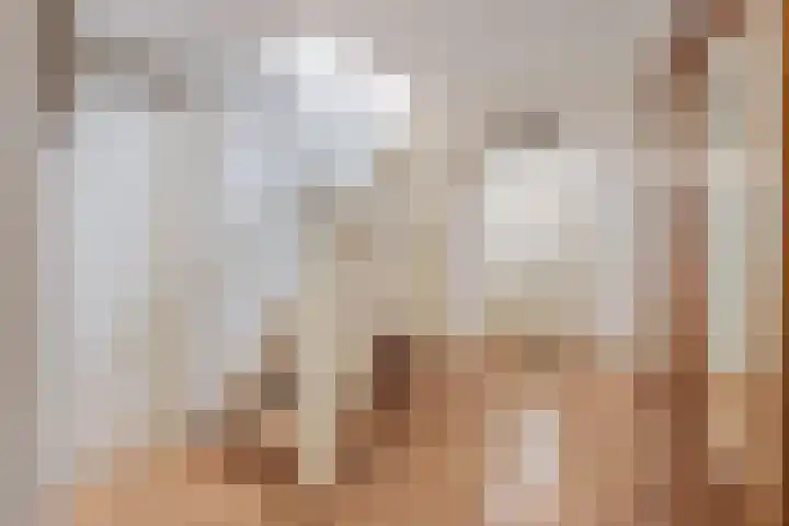 Hoornse Hop 38 Lelystad thumbnail 7