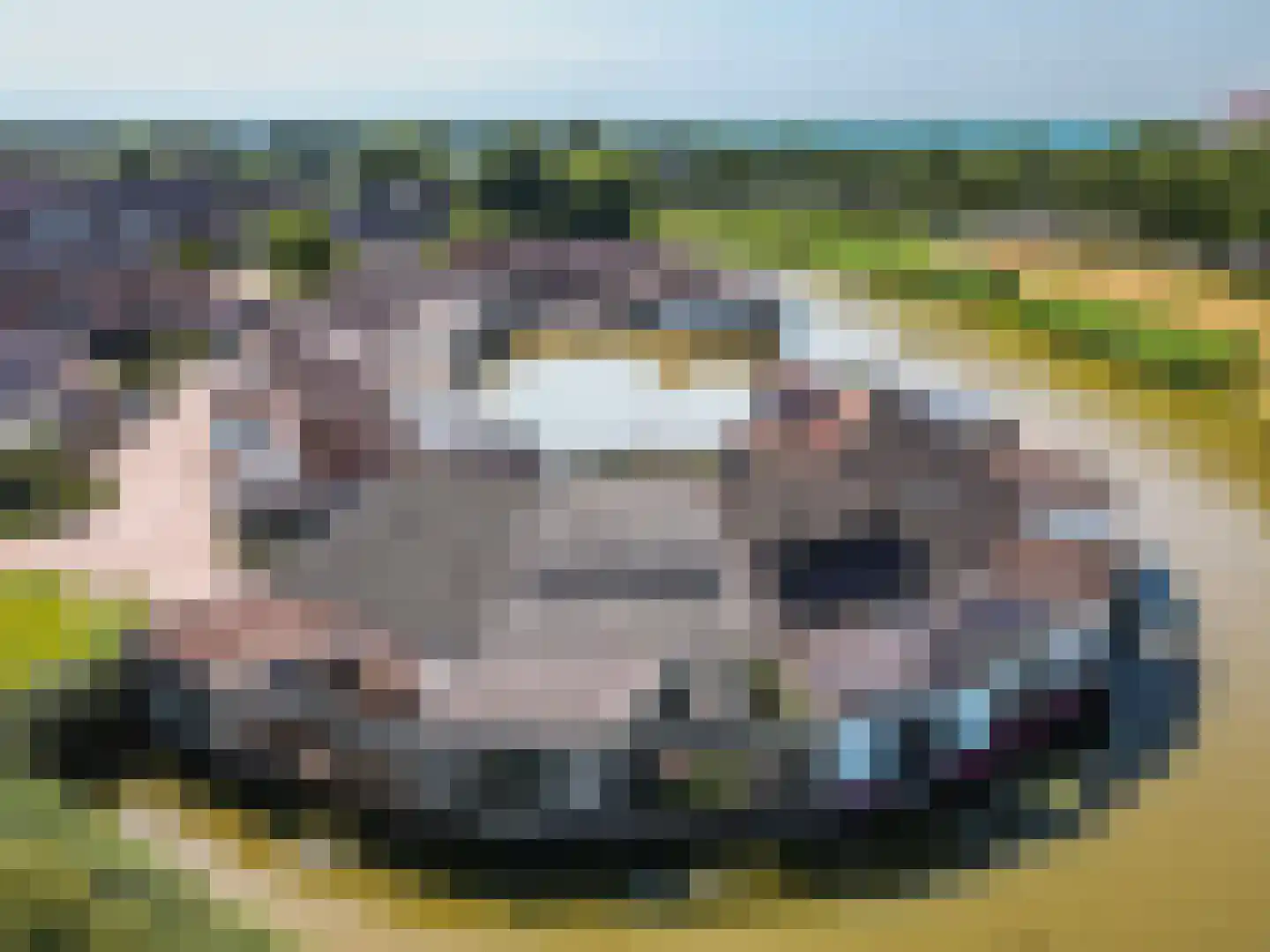 Hoornse Hop 4 Lelystad thumbnail 44