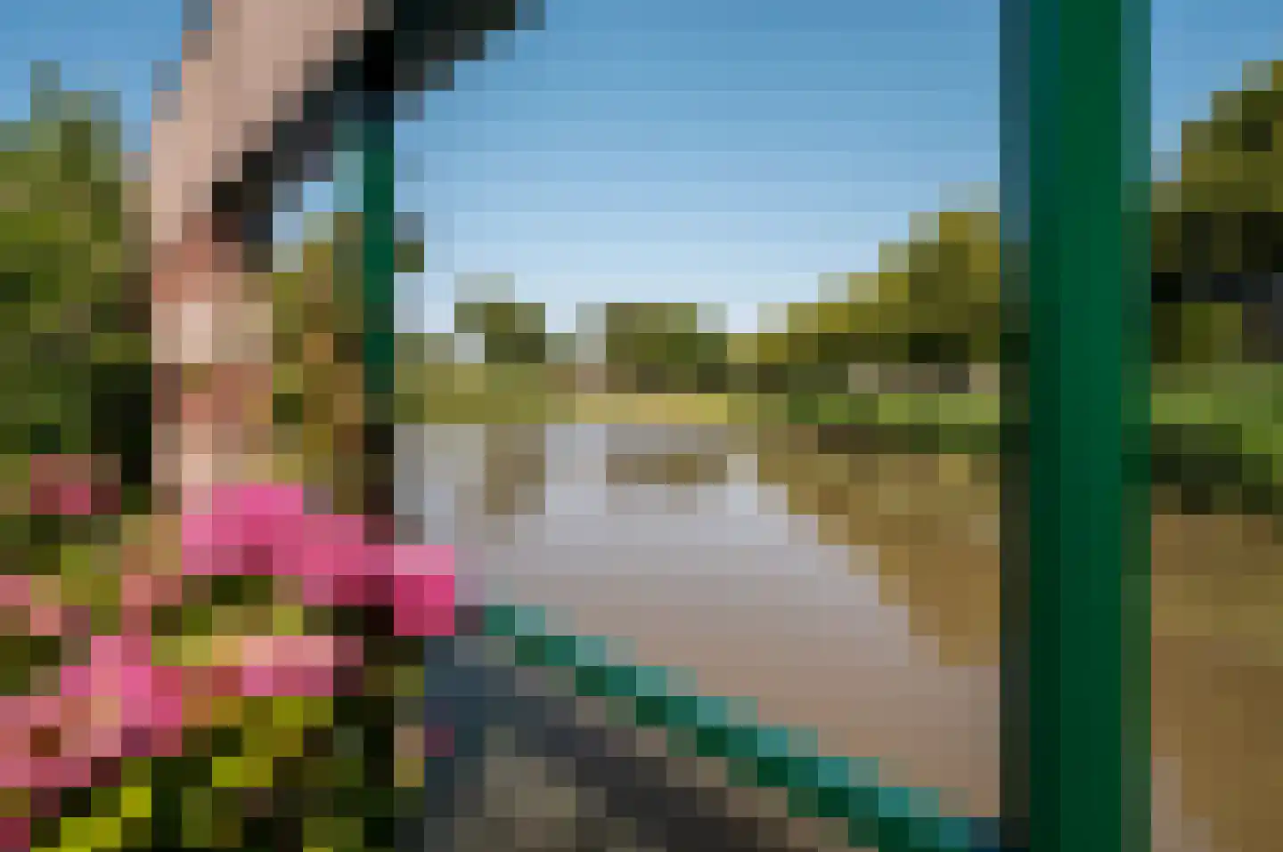 Hoornse Hop 4 Lelystad thumbnail 5