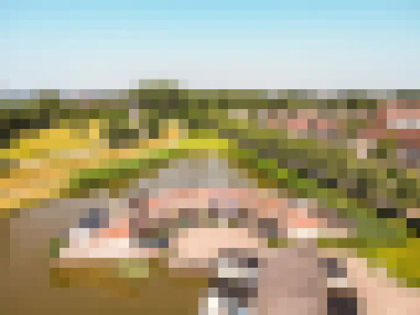 Hoornse Hop 4 Lelystad thumbnail 6