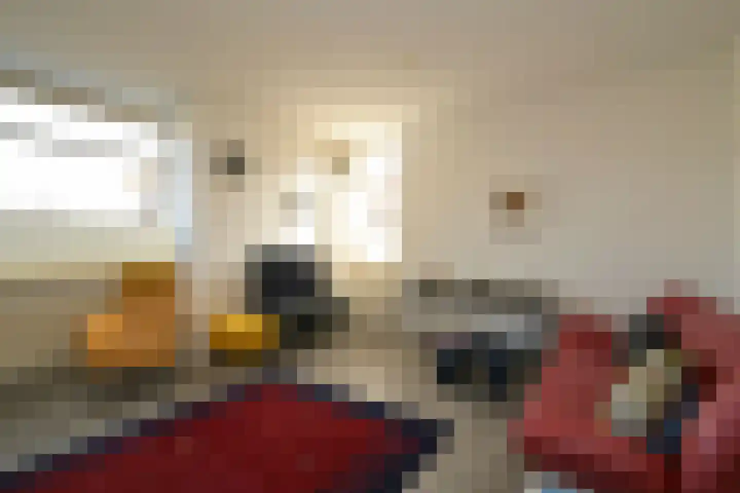 Hoornse Hop 7 Den Haag thumbnail 11