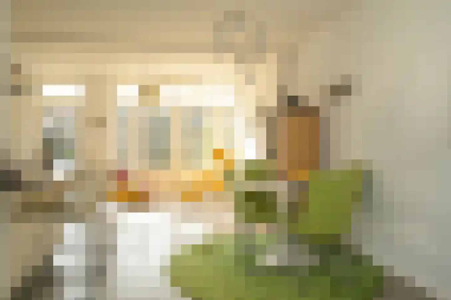 Hoornse Hop 7 Den Haag thumbnail 14