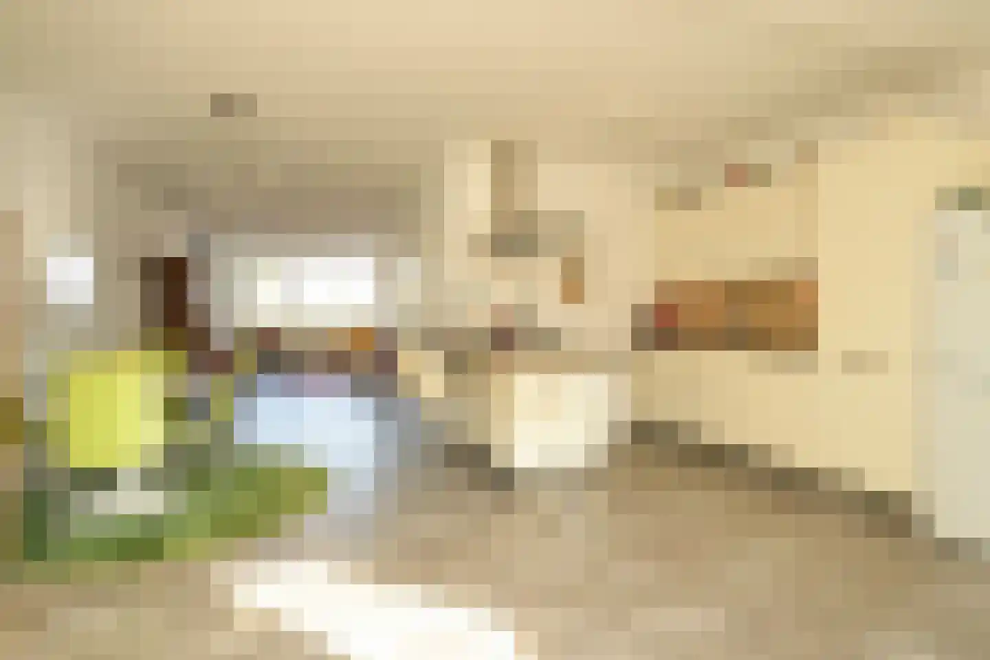 Hoornse Hop 7 Den Haag thumbnail 15