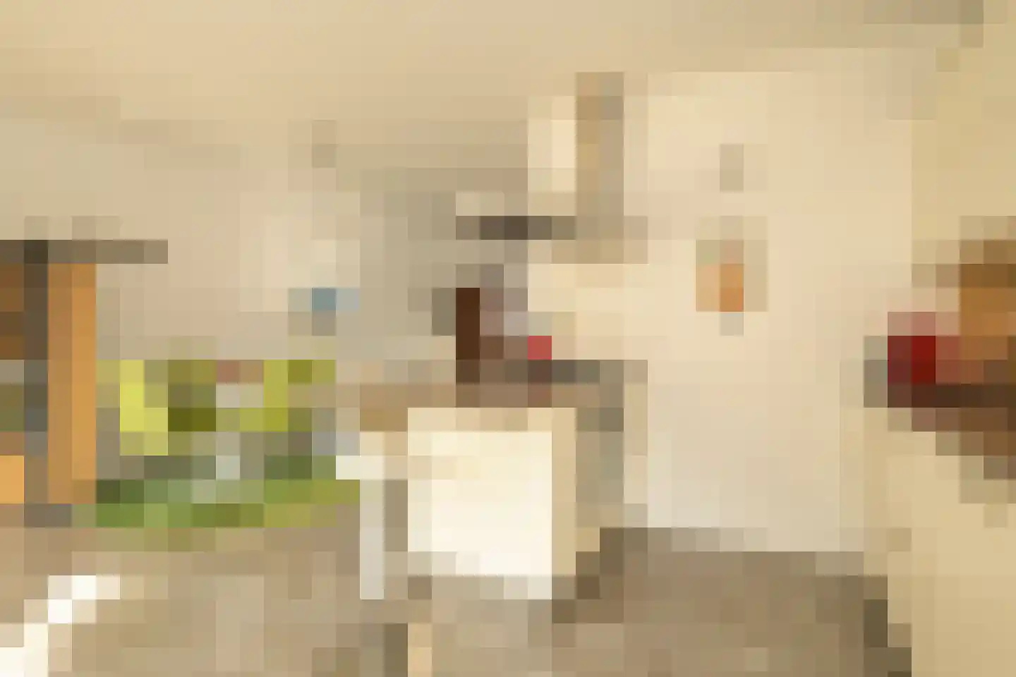Hoornse Hop 7 Den Haag thumbnail 16