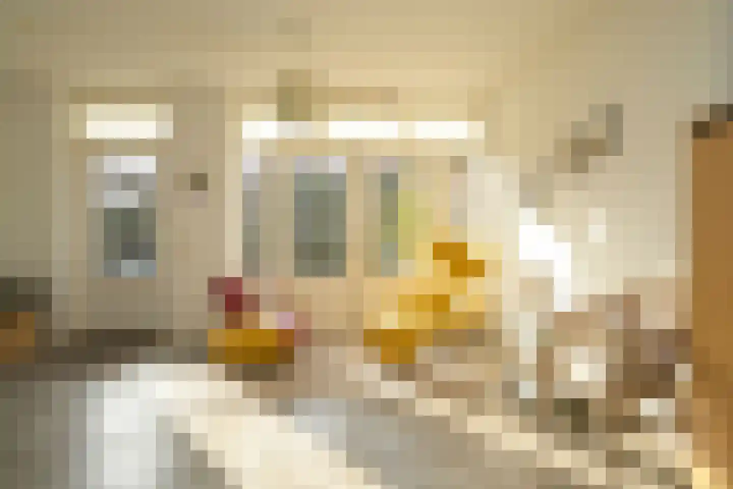 Hoornse Hop 7 Den Haag thumbnail 19
