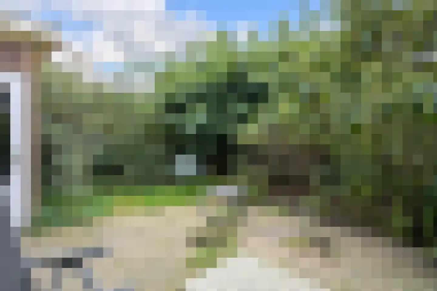 Hoornse Hop 7 Den Haag thumbnail 21