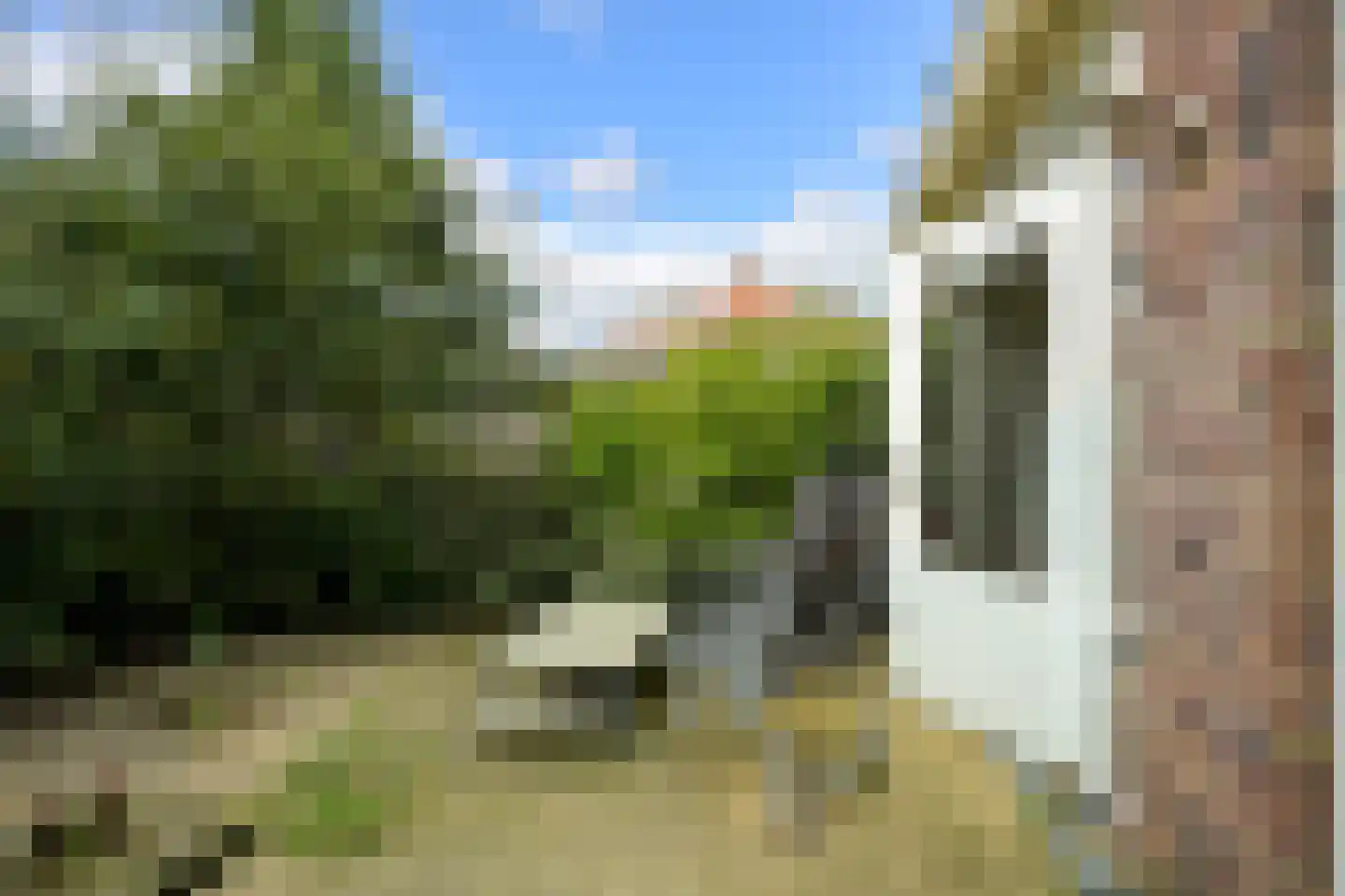 Hoornse Hop 7 Den Haag thumbnail 23